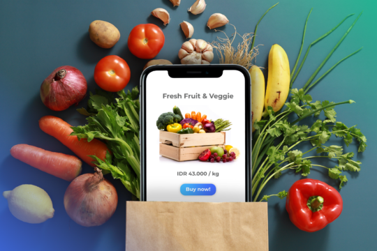 Bring Your Groceries Business Online